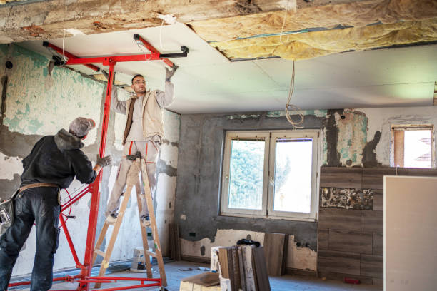 Best Insulation Installation Services in Cannon Falls, MN