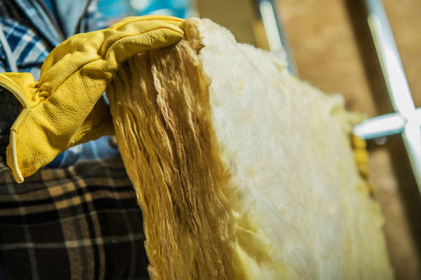 Best Residential Insulation in Cannon Falls, MN
